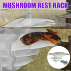Mushroom Aquarium Rest Ledge Suction Cup Shelf