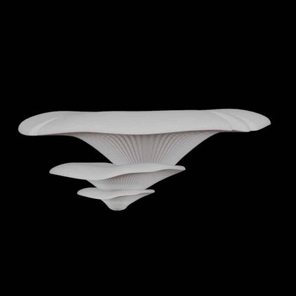 Mushroom Aquarium Rest Ledge Suction Cup Shelf