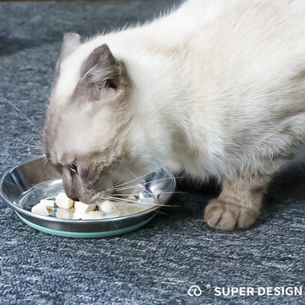 AntiSlip Cat Bowl Pet Food Basin Cat and Dog Feeding Bowl Universal Pet Dish
