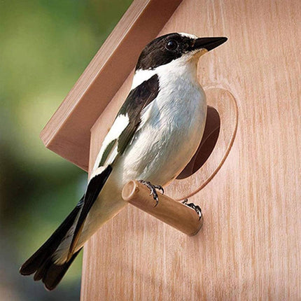 Window Bird Nest House One Way Mirror Suction Cup Outdoor Observation 21cm