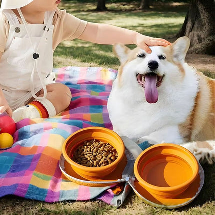Pet Travel Feeding Bowl Set Portable Foldable Dog Cat Food Water Dish Outdoor