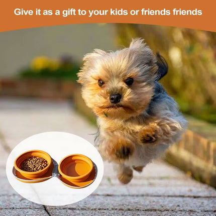Pet Travel Feeding Bowl Set Portable Foldable Dog Cat Food Water Dish Outdoor