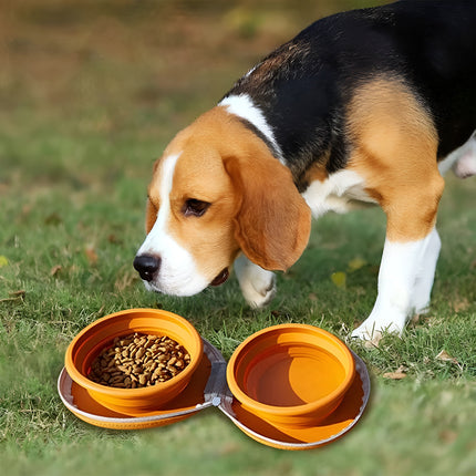 Pet Travel Feeding Bowl Set Portable Foldable Dog Cat Food Water Dish Outdoor