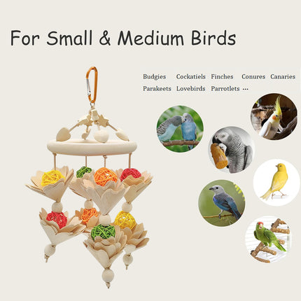 Hanging Parrot Chew Play Toy for Pet Birds Cage Accessory Interactive Grind Beak