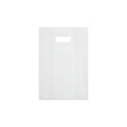 50PCS PE Gift Bags with Handles Clear Plastic Bags for Party Favors Wedding Use