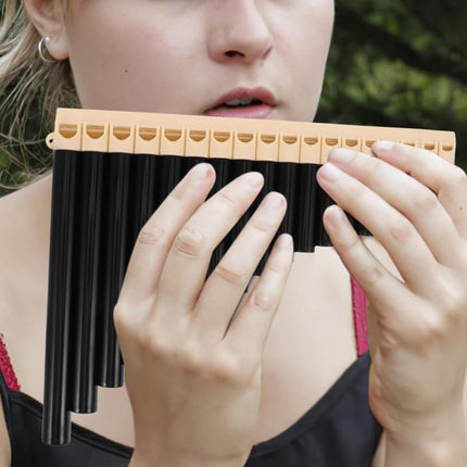 18 Pipe Pan Flute C Tuned Beginner Professional Instrument for Students