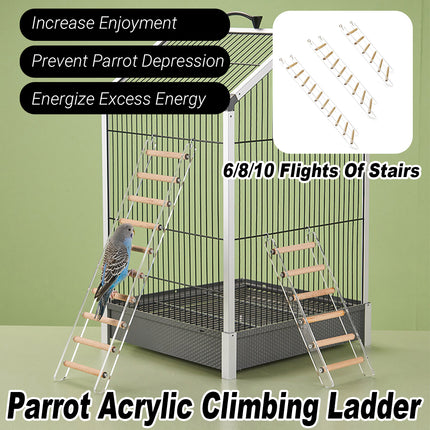 Acrylic Bird Cage Climbing Ladder Parrot Toy Training Exercise Perch Play Stand