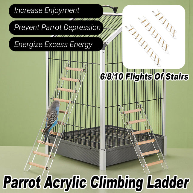 Acrylic Bird Cage Climbing Ladder Parrot Toy Training Exercise Perch Play Stand