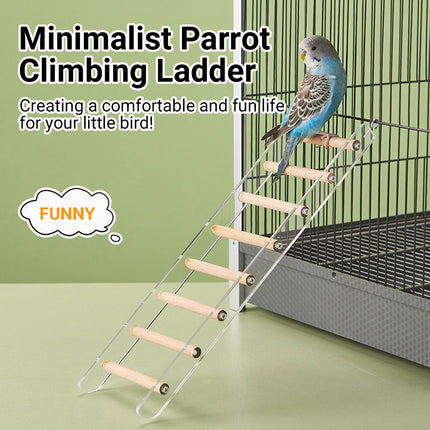 Acrylic Bird Cage Climbing Ladder Parrot Toy Training Exercise Perch Play Stand