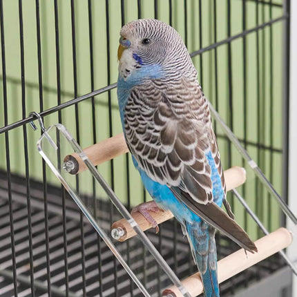 Acrylic Bird Cage Climbing Ladder Parrot Toy Training Exercise Perch Play Stand
