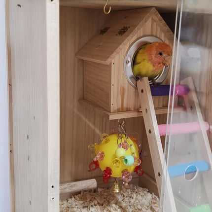 Pet Parrot Bird Toy Small Sun Multicolor Relieve Boredom Chew Bite Hanging Ball