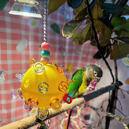 Pet Parrot Bird Toy Small Sun Multicolor Relieve Boredom Chew Bite Hanging Ball