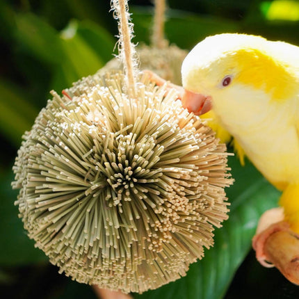Natural Grass Ball Parrot Chew Toy Hanging Bird Cage Foraging Budgie