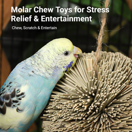 Natural Grass Ball Parrot Chew Toy Hanging Bird Cage Foraging Budgie