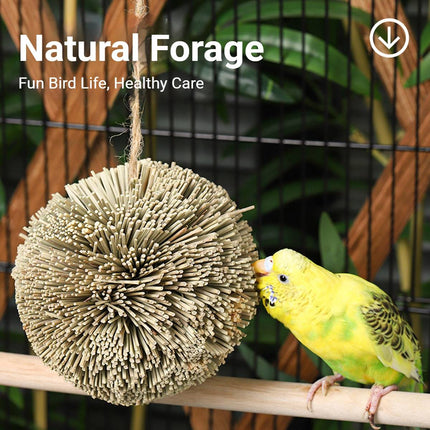 Natural Grass Ball Parrot Chew Toy Hanging Bird Cage Foraging Budgie