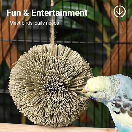 Natural Grass Ball Parrot Chew Toy Hanging Bird Cage Foraging Budgie