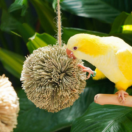 Natural Grass Ball Parrot Chew Toy Hanging Bird Cage Foraging Budgie