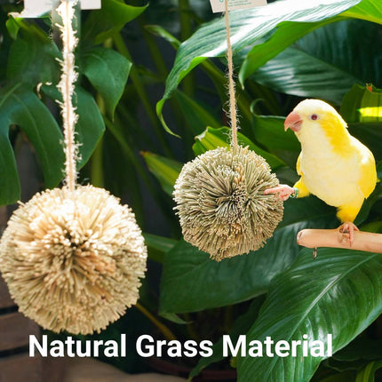 Natural Grass Ball Parrot Chew Toy Hanging Bird Cage Foraging Budgie
