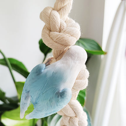 Parrot Chewing Climbing Rope Toy for Birds Cage Interactive Perch Play Equipment