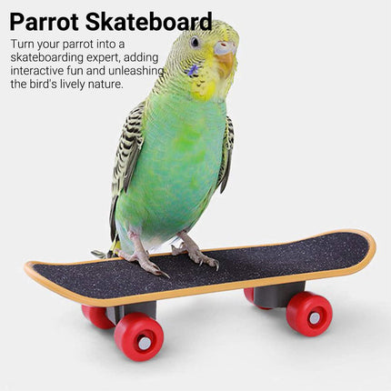 4PCS Parrot Toy Suit Educational Trolley Ring Training Swing Gnawing Toy Durable