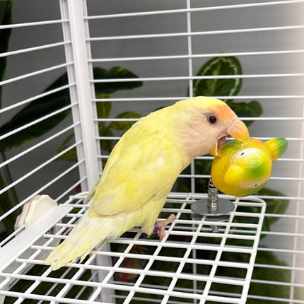 Bouncy Spring Parrot Bird Toy Cage Perch Chew Toy for Cockatiels and Budgies
