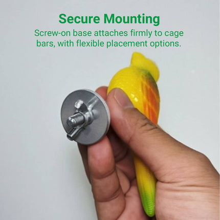 Bouncy Spring Parrot Bird Toy Cage Perch Chew Toy for Cockatiels and Budgies