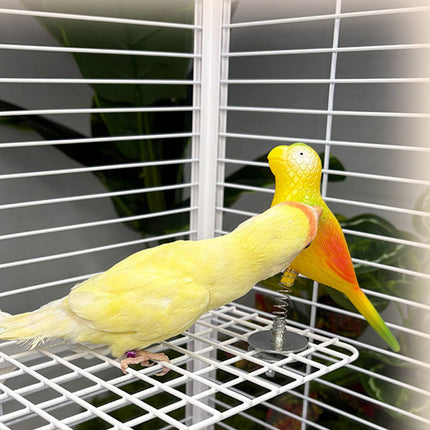 Bouncy Spring Parrot Bird Toy Cage Perch Chew Toy for Cockatiels and Budgies