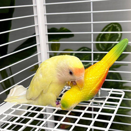 Bouncy Spring Parrot Bird Toy Cage Perch Chew Toy for Cockatiels and Budgies