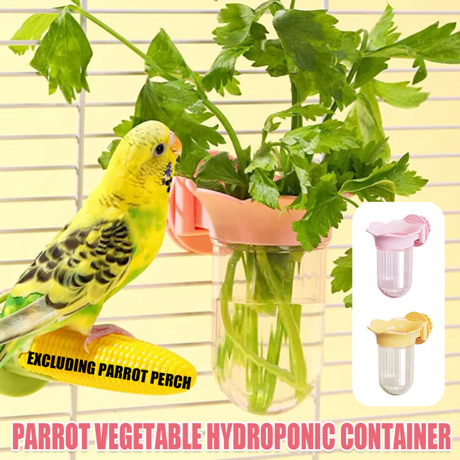 Parrot Cage Hydroponic Feeder Bottle Bird Cage Wall-Mounted Supply Feeder Stable