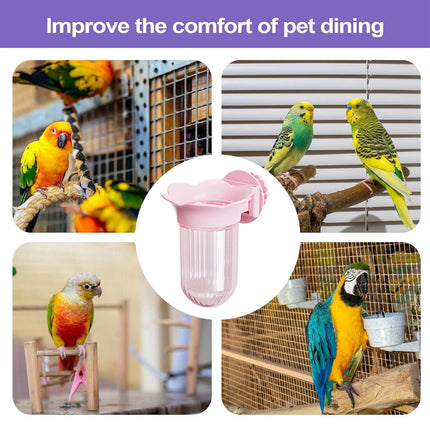 Parrot Cage Hydroponic Feeder Bottle Bird Cage Wall-Mounted Supply Feeder Stable