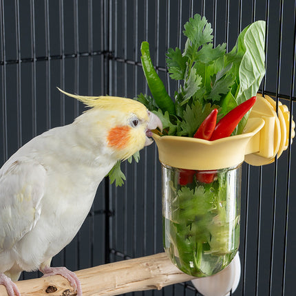 Parrot Cage Hydroponic Feeder Bottle Bird Cage Wall-Mounted Supply Feeder Stable