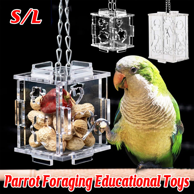 Parrot Foraging Toy Educational Bird Toy Interactive Feeder Cage Toy Training