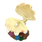 Pearl Scallop Aquarium Ornament Fish Tank Decorative Bubblestone Shell Landscape