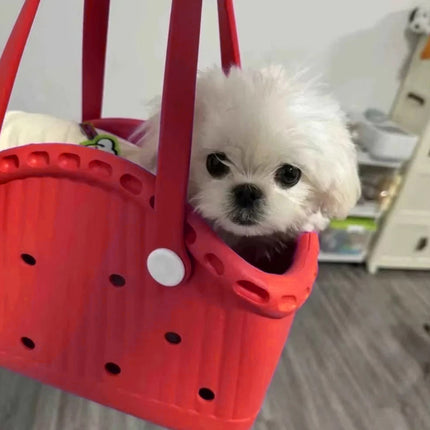 Pet Basket Outdoor Portable Large Capacity Standard Pets Durable Breathable