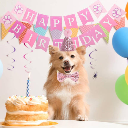 Pet Birthday Sequin Party Hat and Bow Tie Set Blue or Pink for Dog Cat Photo
