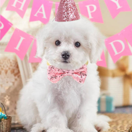 Pet Birthday Sequin Party Hat and Bow Tie Set Blue or Pink for Dog Cat Photo