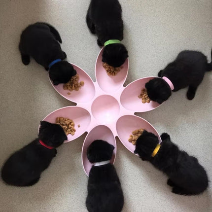 Multi Cat Feeding Bowl Petal Design Kitten Milk Bowl Puppy Dog Food Water Dish