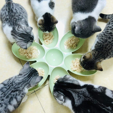 Multi Cat Feeding Bowl Petal Design Kitten Milk Bowl Puppy Dog Food Water Dish