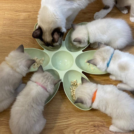 Multi Cat Feeding Bowl Petal Design Kitten Milk Bowl Puppy Dog Food Water Dish
