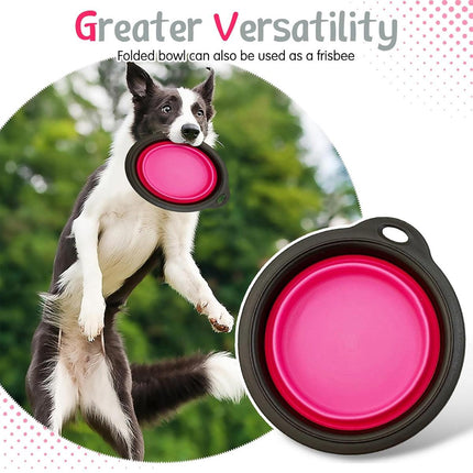 Portable Pet Water and Food Bowl for Cats and Dogs Travel Feeding Dish Bowl