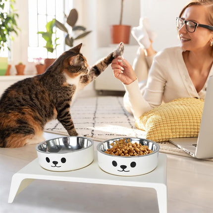 Elevated Dual Stainless Steel Pet Bowls White Stand