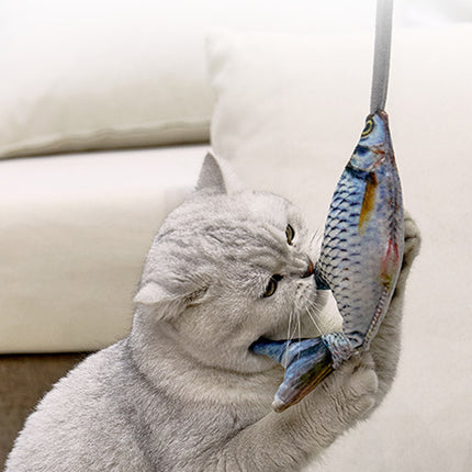 Creative Cat Toy Durable Easy to Use Interactive for Kittens Play Hunting Fun