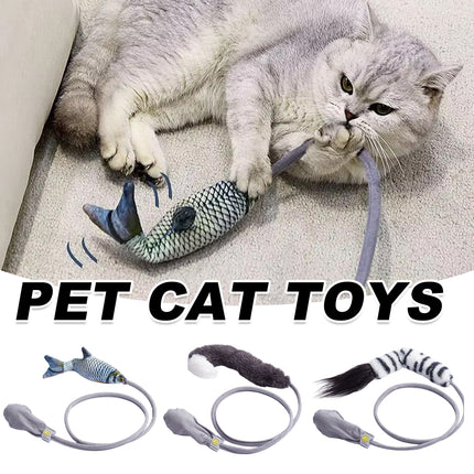 Creative Cat Toy Durable Easy to Use Interactive for Kittens Play Hunting Fun