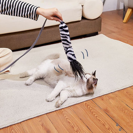 Creative Cat Toy Durable Easy to Use Interactive for Kittens Play Hunting Fun