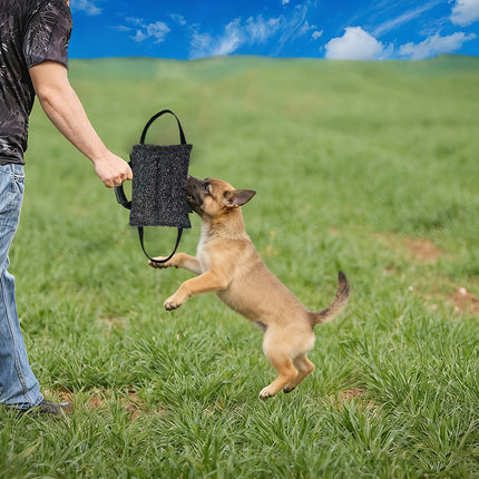 Pet Chew Pillow Tug Toy Durable Material Interactive Training Toy Dogs Chew Play