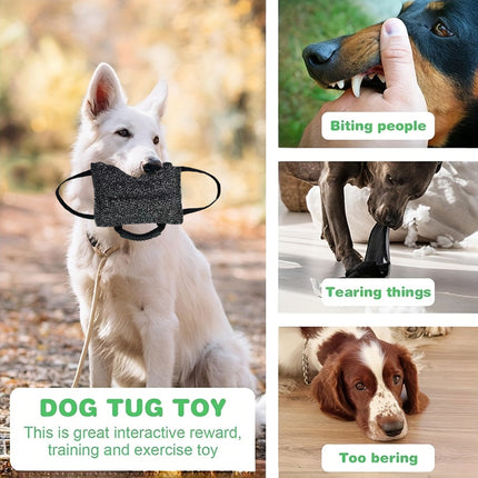 Pet Chew Pillow Tug Toy Durable Material Interactive Training Toy Dogs Chew Play