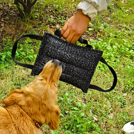 Pet Chew Pillow Tug Toy Durable Material Interactive Training Toy Dogs Chew Play