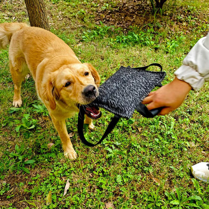 Pet Chew Pillow Tug Toy Durable Material Interactive Training Toy Dogs Chew Play