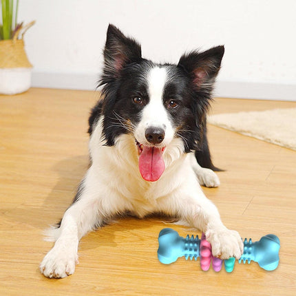 Bone Shape Pet Chew Toy Durable Molar Grind Dog Chew For Pet Interactive Play