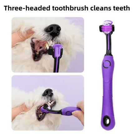 9PCS Pet Grooming Kit Comb Nail Clipper Care Set Hair Brushing Trimming Pet Care